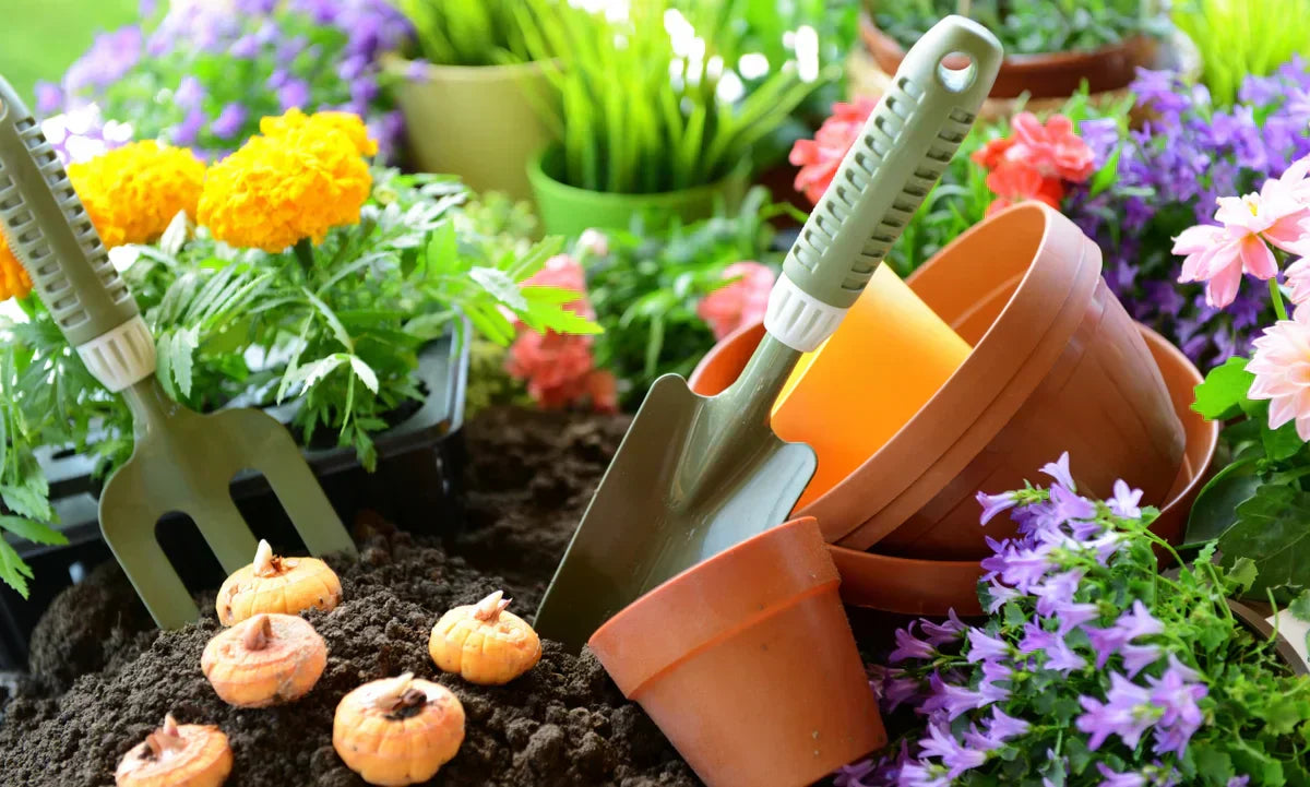 Dirt Therapy: Why Gardening Is Good for the Soul