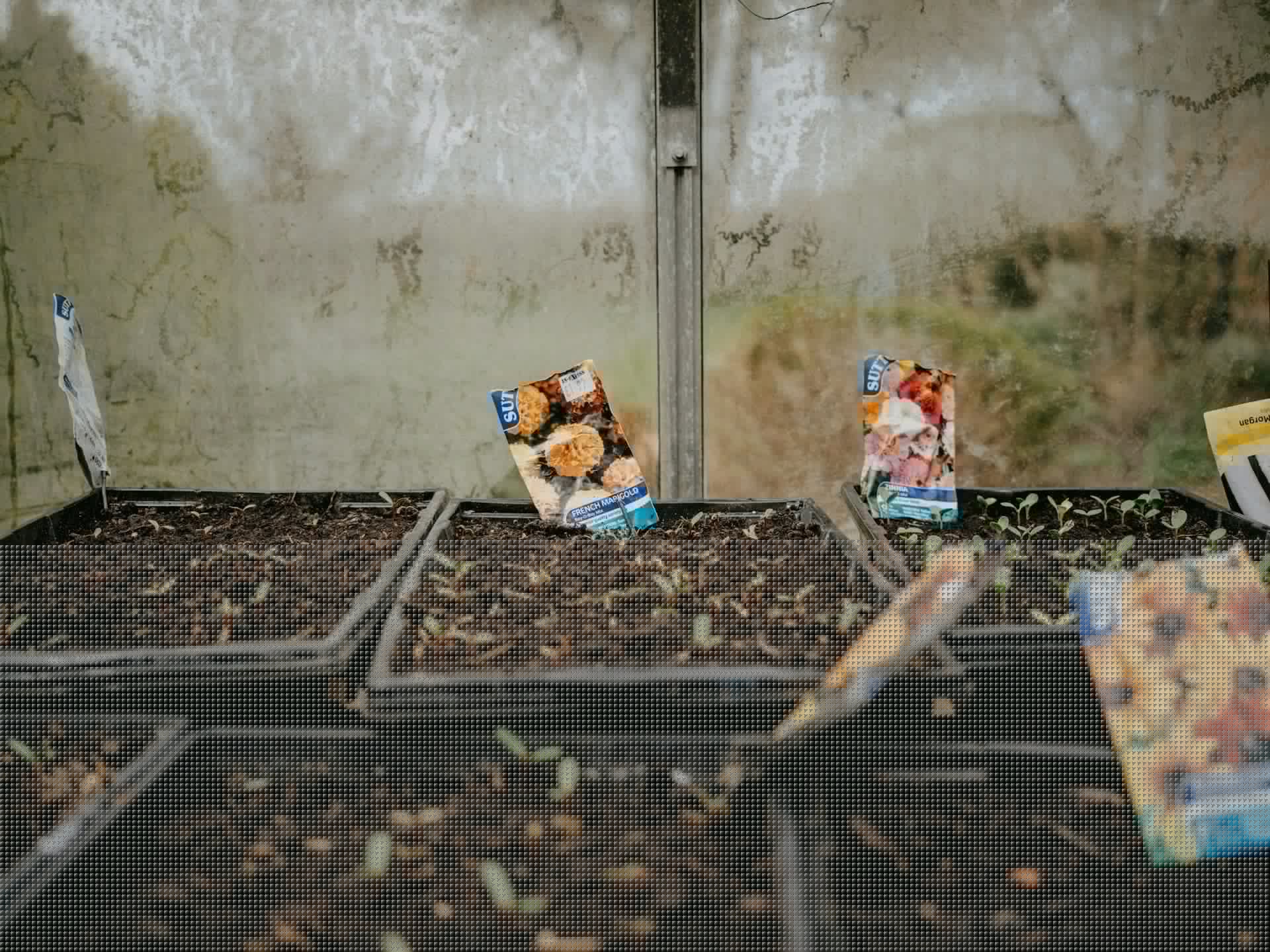 Top Mistakes Beginner Gardeners Make (and How to Avoid Them)