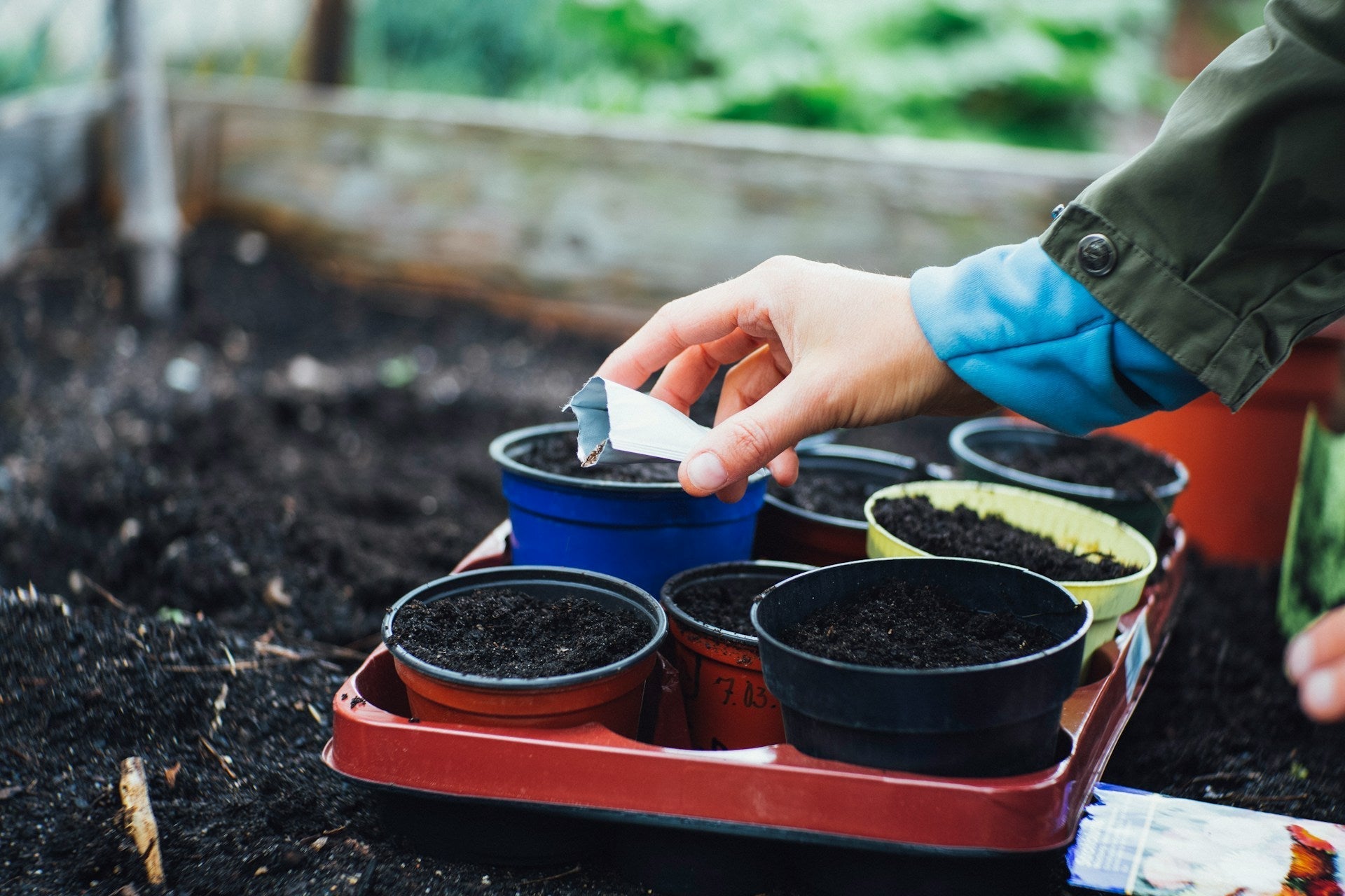 Beginner’s Guide to Starting a Home Garden: Supplies and Tips