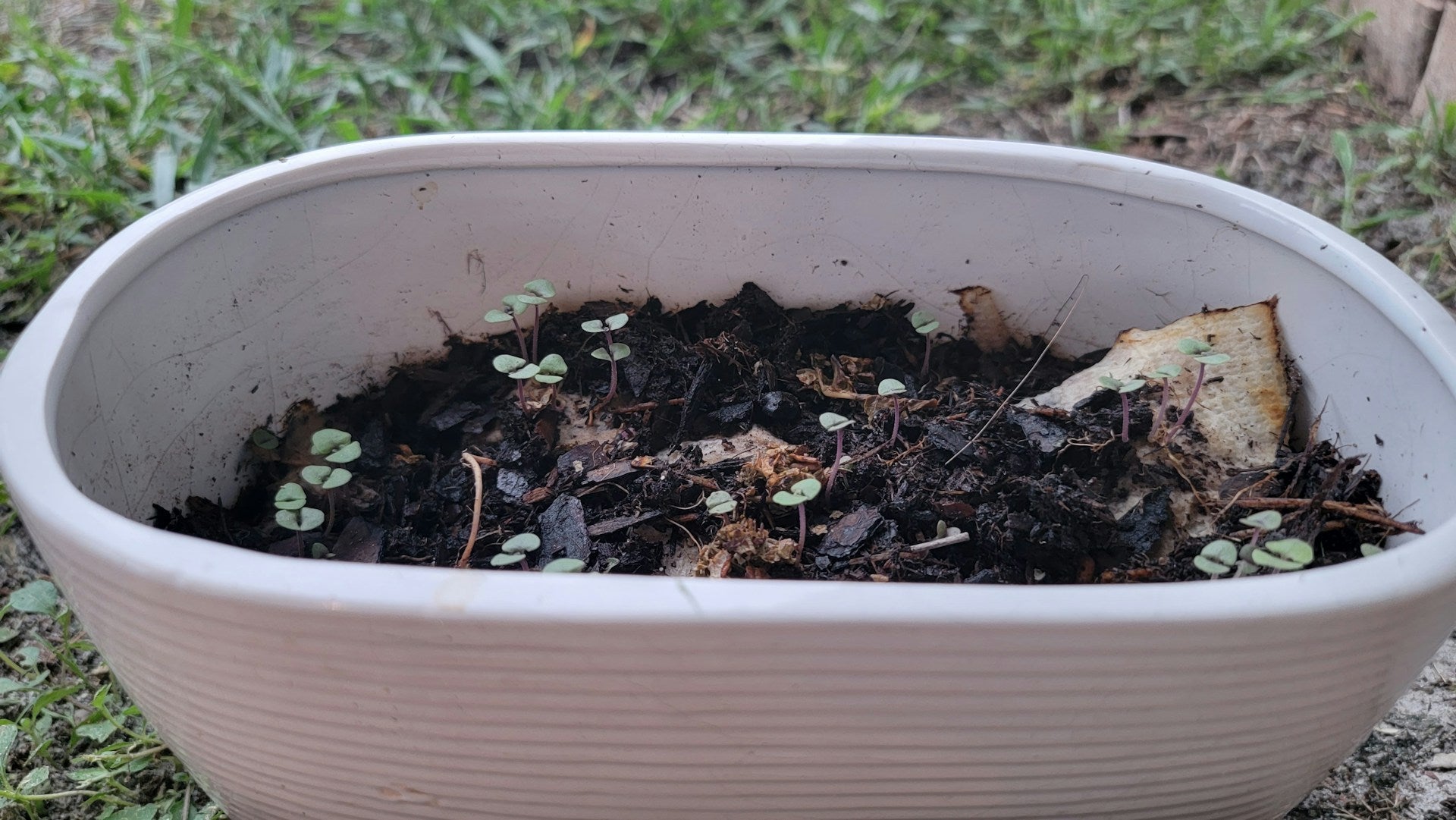 The Best Products to Start Your Own Compost Bin