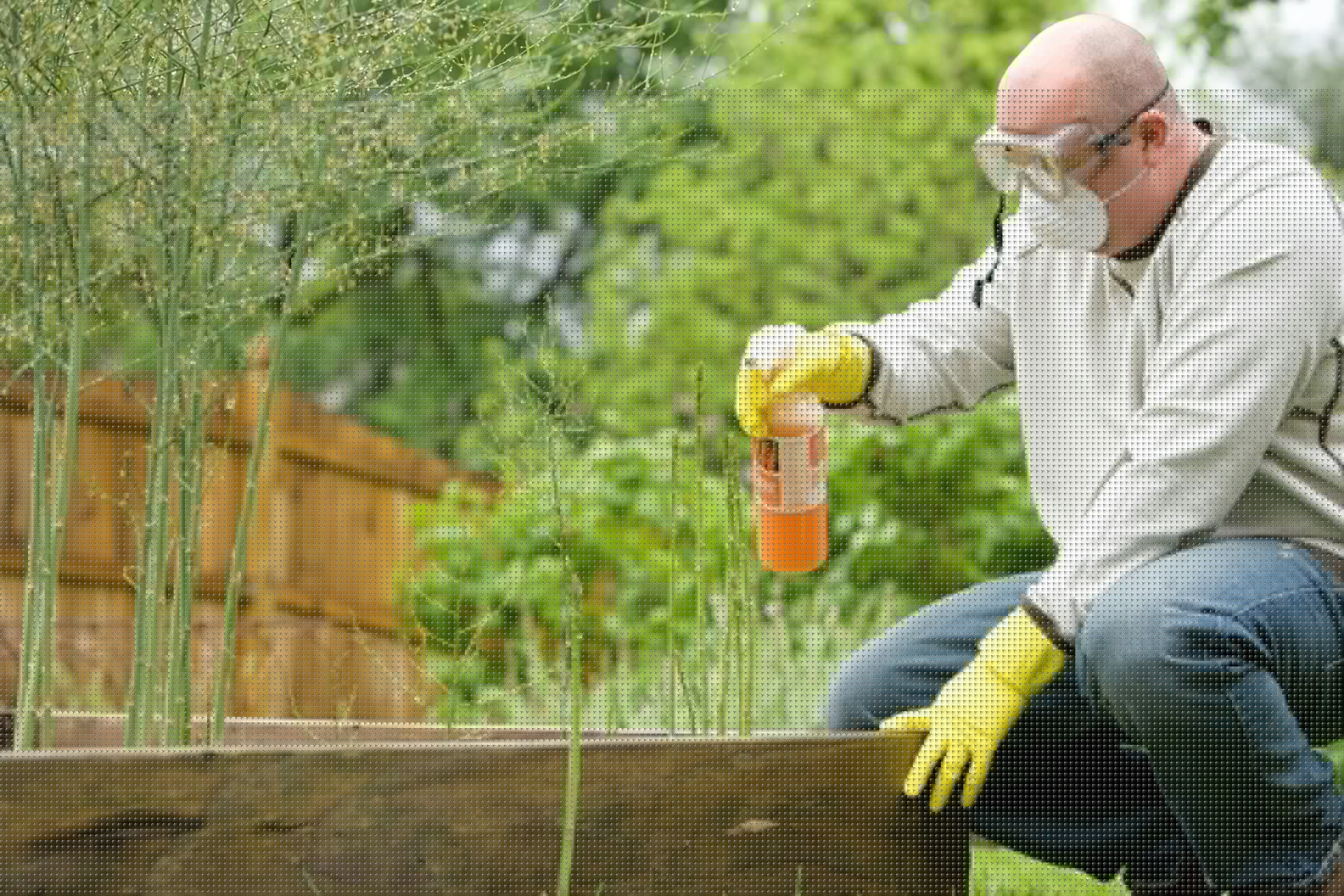 Organic Gardening Made Easy: Best Products for a Chemical-Free Garden