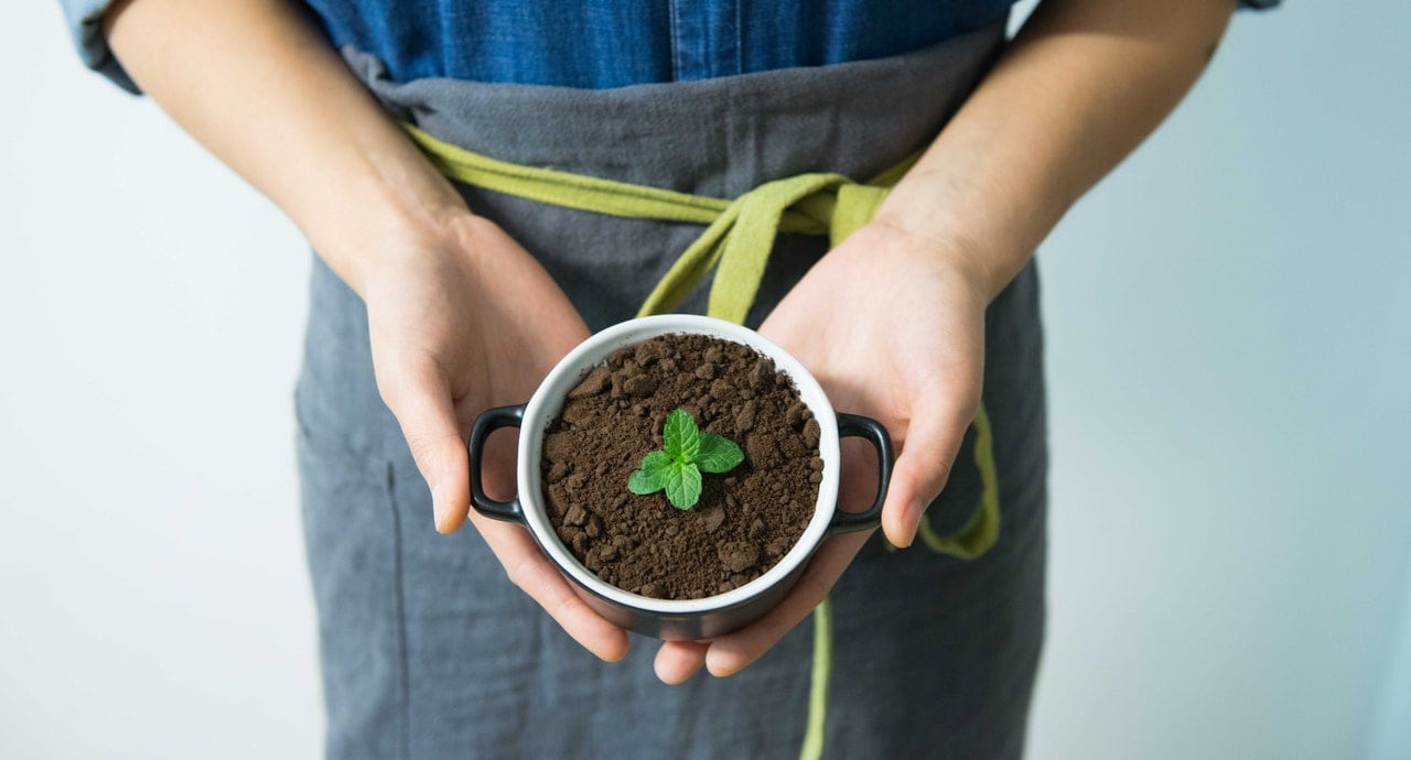 Grow Your Green Thumb: Tips from the Garden Experts