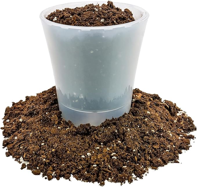 Money Tree Potting Soil, Soil Mix for Planting or Repotting Guiana Chestnut, Soil Blended to Properly Grow Money Tree Plants - (3 Quart Bag)-BloomoryGarden