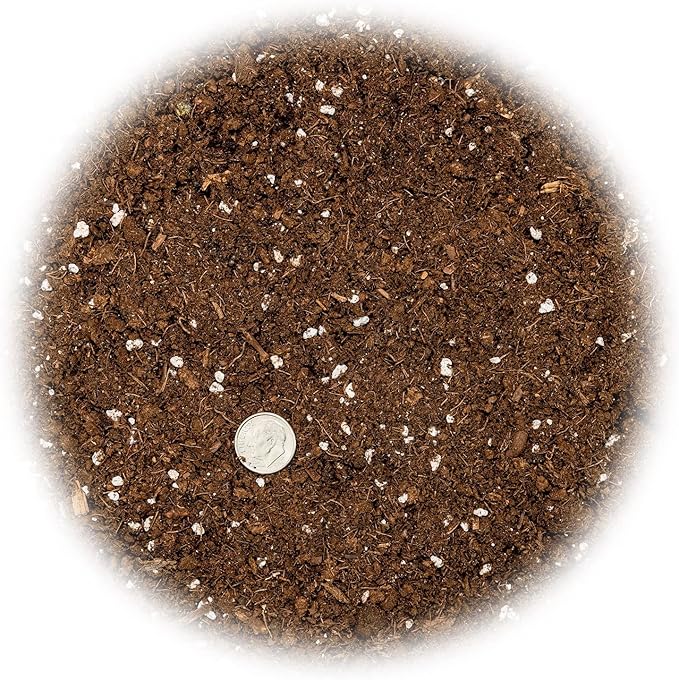 Money Tree Potting Soil, Soil Mix for Planting or Repotting Guiana Chestnut, Soil Blended to Properly Grow Money Tree Plants - (3 Quart Bag)-BloomoryGarden